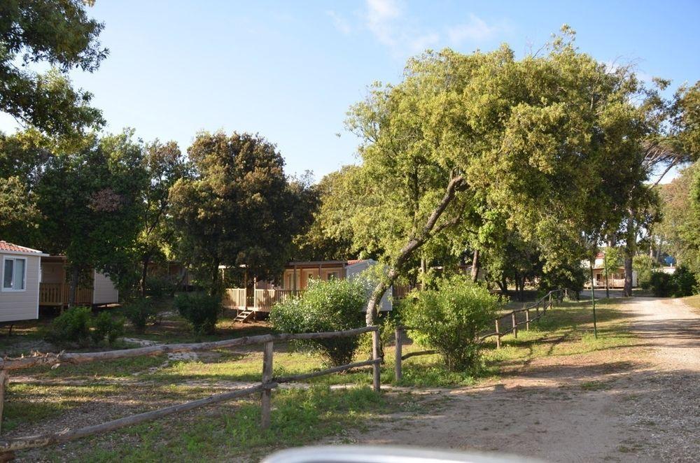 Parco Della Gallinara 4* Lido dei Pini