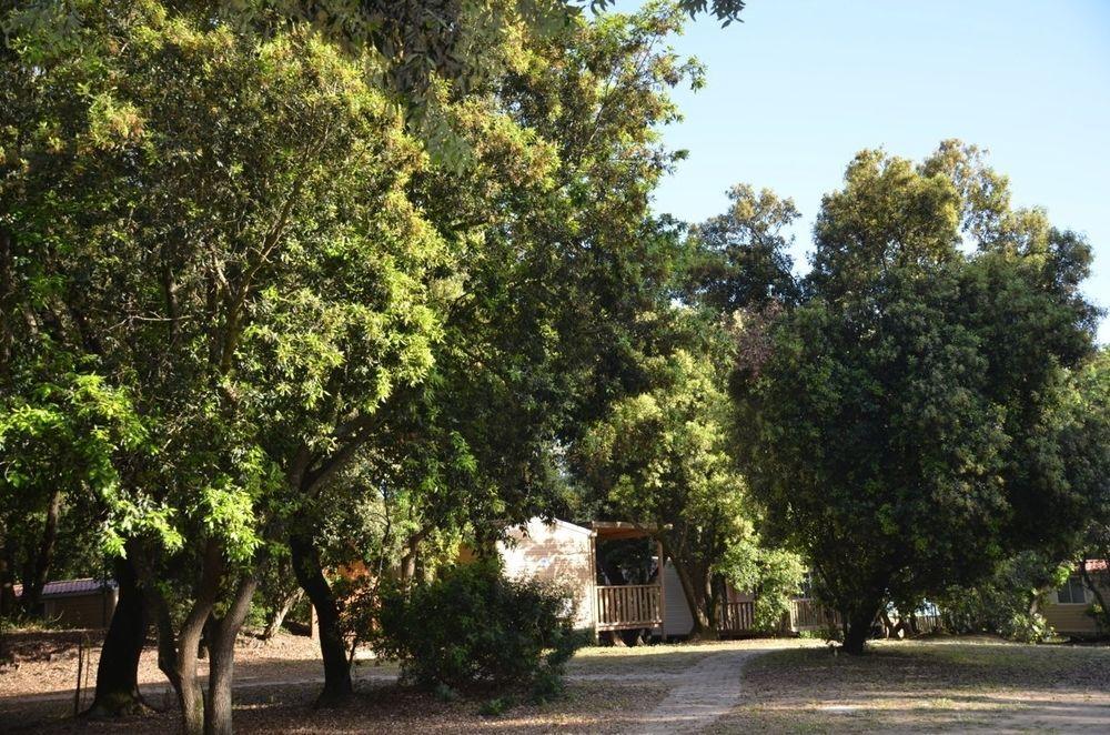 Parco Della Gallinara Aldeamento Turístico Lido dei Pini