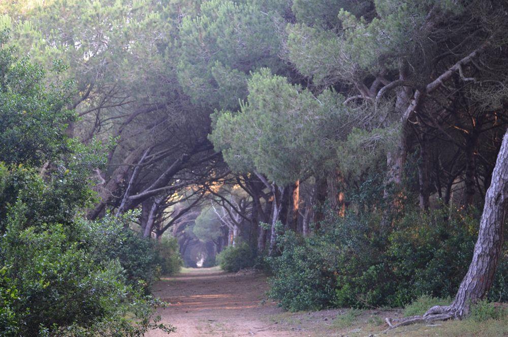 Vakantiepark Parco Della Gallinara 4*